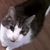 Sidney Smolar's profile image