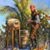 Donald Anderson's profile image