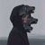 Brandon Geist Lawrence's profile image