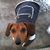 Sheena Himes's profile image