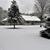Pat Scholten Stahl's profile image