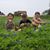 Michelle Brown's profile image