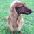 Linda Hunter Butler's profile image