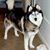 Bonnie Bowne's profile image