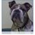 Mary Wheeler's profile image