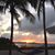 Sheila Fox Lundberg's profile image