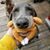 Kerrie Rozelle Hilbert's profile image