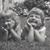 Lynda M Knauf Harrington's profile image