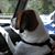 Pamela Steele Fitzmartin's profile image