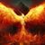 Jamie Seidl's profile image