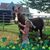 Jeannette S Dunn's profile image