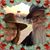 Myra Hogue's profile image