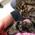 Amy Saucier Vieira's profile image