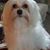 Debbie Matthews Beasley's profile image