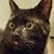 Will Belmonte's profile image