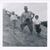 Lynn K. Russell's profile image
