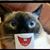 Kris Witmer's profile image
