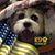Laura Mikrut's profile image