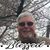 David A Callister's profile image