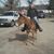 Paula Mohr's profile image