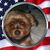 Elaine Buechel's profile image