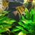 Brian Byers's profile image