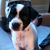 Danni Cottrill's profile image