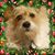 Suzan Alley's profile image