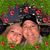 Stacie Roland Ray's profile image