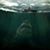 Mike Galvan's profile image
