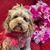 Kerry Counihan Murphy's profile image