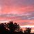 Lori Moser Keedy's profile image