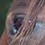 Janet Montgomery's profile image