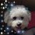 Lori Simpkins's profile image