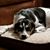 Nancy Schuler's profile image