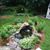 Liz Centola Hrul's profile image