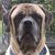 Katy Gonse Goossens's profile image