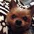 Tanis Brainerd's profile image