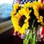 Becky Farr-Lapham's profile image