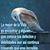 Yolanda Canedo's profile image
