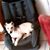 Lori Lane's profile image