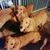 Joyce Zampieri's profile image