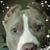 Tammie Mathis's profile image