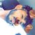 Cali Punjabi's profile image