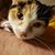 Tammy Campos's profile image