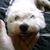 Dennis K. Mowery's profile image