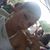 Mendeola Liyahjr Bellazaya's profile image