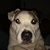 Glenn Walburn-Jones's profile image