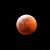 Cindy Jo Creighton's profile image