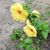 Sue N Mike Albertina's profile image